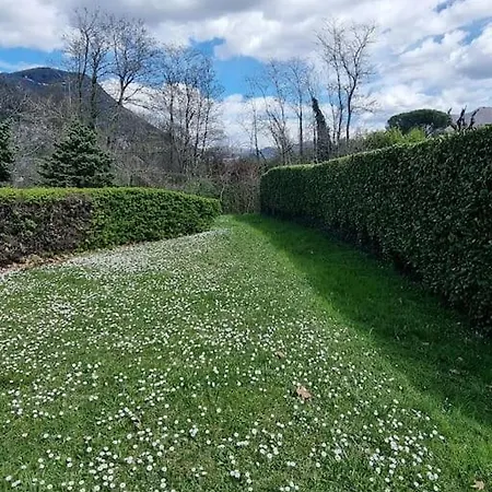 Oasis *