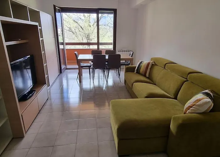 Oasis *